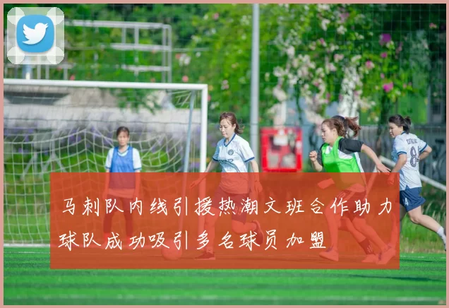 马刺队内线引援热潮文班合作助力球队成功吸引多名球员加盟